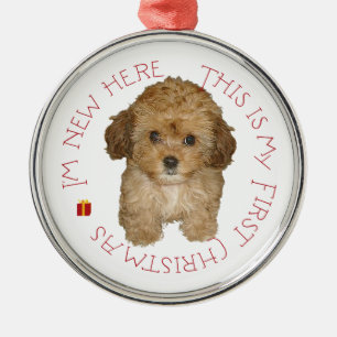 Ornamento De Metal Cavachon Puppy Primeiro Natal