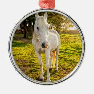 Ornamento De Metal Cavalo Branco