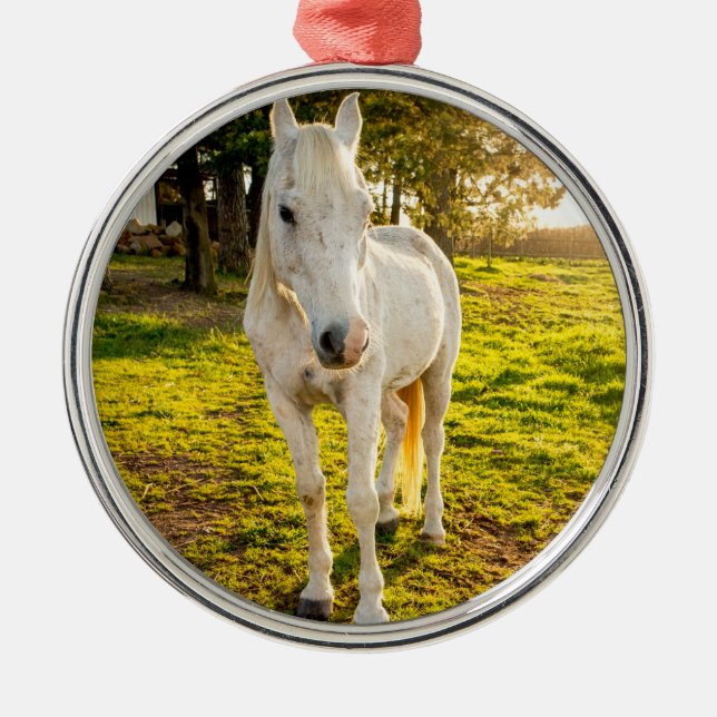 Ornamento De Metal Cavalo Branco (Frente)