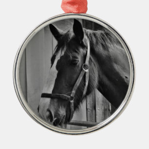 Ornamento De Metal Cavalo Branco Negro - Fotografia Animal