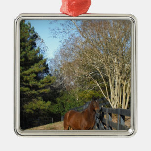 Ornamento De Metal Cavalo castanho contra cerca