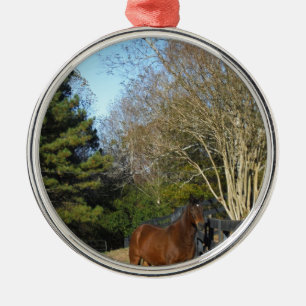 Ornamento De Metal Cavalo castanho contra cerca