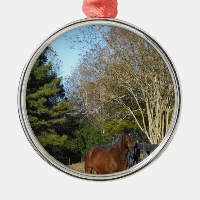 Ornamento De Metal Cavalo castanho contra cerca (Frente)