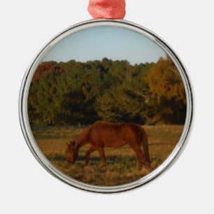 Ornamento De Metal Cavalo castanho no Sol