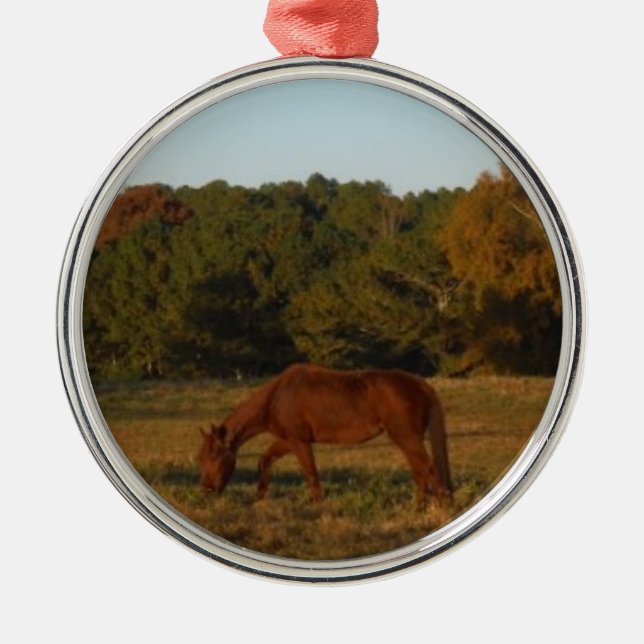 Ornamento De Metal Cavalo castanho no Sol (Frente)