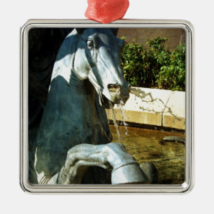 Ornamento De Metal Cavalo de Netuno, Detalhe 2 da Fonte de Plaza