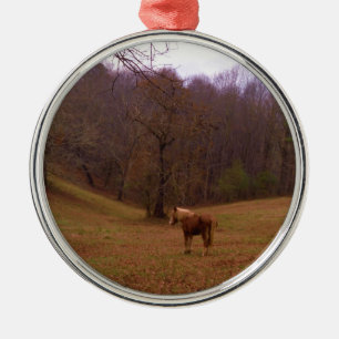 Ornamento De Metal Cavalo Marrom e Loiro em um campo