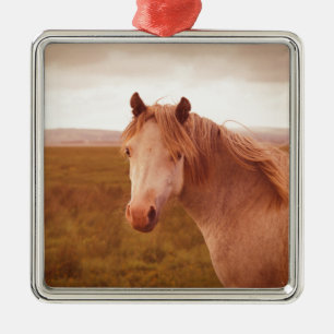 Ornamento De Metal Cavalo selvagem do vintage