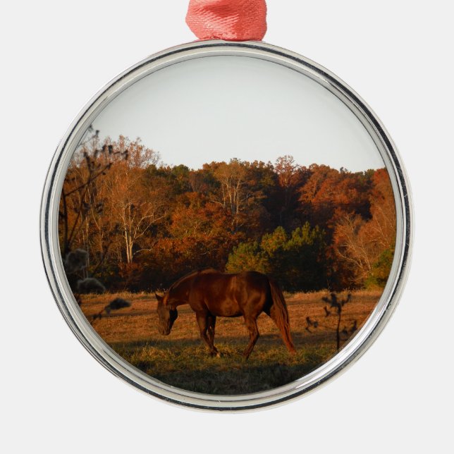 Ornamento De Metal Cavalo Vermelho Brown, bosque de outono. (Frente)