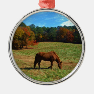 Ornamento De Metal Cavalo vermelho castanho, árvores de queda, céus a