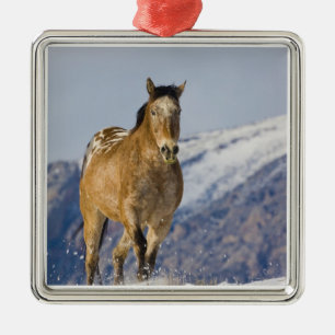 Ornamento De Metal Cavalos Correndo na Neve