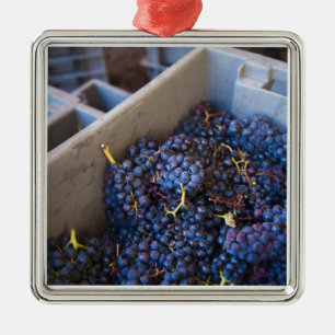 Ornamento De Metal Cave de vin Bodega Marques de Riscal, raisins