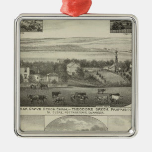 Ornamento De Metal Cedar Grove Stock Fazenda e Roberts Ranch, Kansas