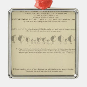 Ornamento De Metal Cegueira, Literatura Estatística dos EUA 1870