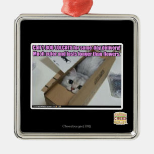 Ornamento De Metal Chamada 1-800-LOLCATS