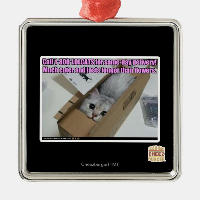 Ornamento De Metal Chamada 1-800-LOLCATS (Frente)