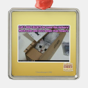 Ornamento De Metal Chamada 1-800-LOLCATS