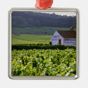Ornamento De Metal Chambertin Clos de Beze Grand Cru vinhedo com