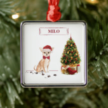 Chihuahua Engraçado Cachorro de Natal com Árvore