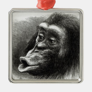 Ornamento De Metal Chimpanzé decepcionado e Sulky