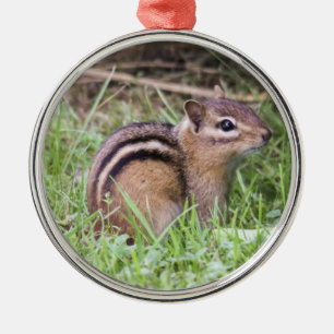 Ornamento De Metal Chipmunk oriental