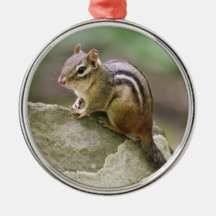 Ornamento De Metal Chipmunk oriental
