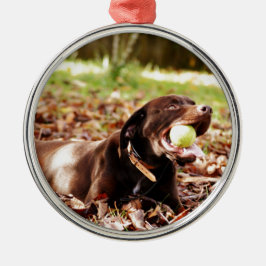 Ornamento De Metal Chocolate Labrador Brincando Com Bola