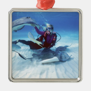 Ornamento De Metal Cidade do Stingray, Grande Cayman, Ilhas Cayman,