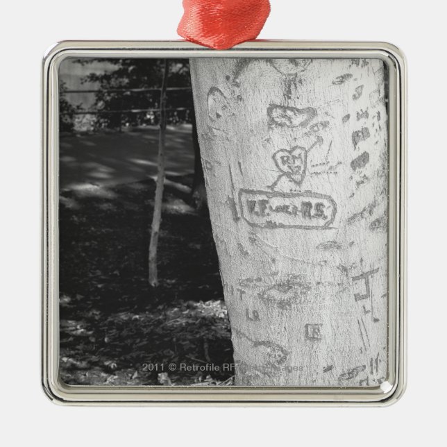 Ornamento De Metal Cinzeladura no tronco de árvore B&W do vidoeiro (Frente)