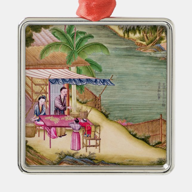 Ornamento De Metal Classificando os casulos (Frente)