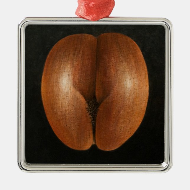 Ornamento De Metal Coco de Mer 2010 (Frente)