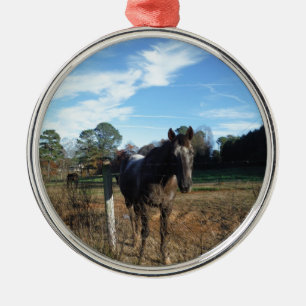 Ornamento De Metal Coco e cavalo castanho creme