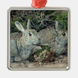 Ornamento De Metal Coelhos