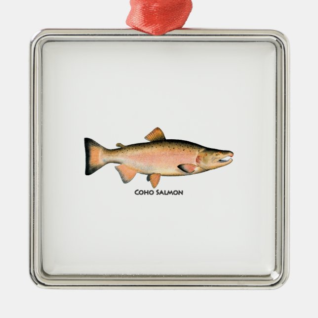 Ornamento De Metal Coho - salmões de prata (que spawning a fase) (Frente)