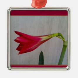 Ornamento De Metal Colar