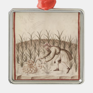 Ornamento De Metal Colhendo o alho