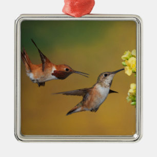 Ornamento De Metal Colibri Rufous de flutuação