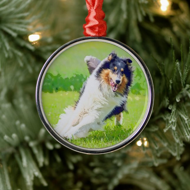 Ornamento De Metal Collie (Árvore)