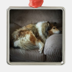 Ornamento De Metal Collie áspero na poltrona