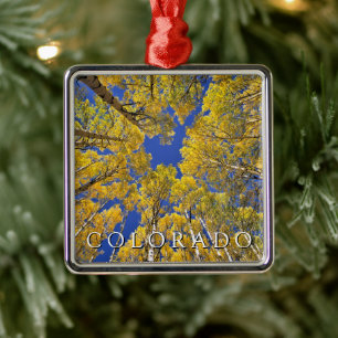 Ornamento De Metal Colorado Outono   Floresta de Aspen no Outono