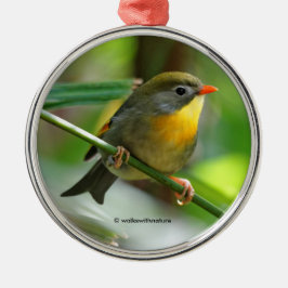 Ornamento De Metal Colorida Leiothrix Pekin Robin Songbird