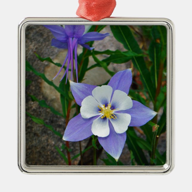 Ornamento De Metal Columbina azul (Frente)