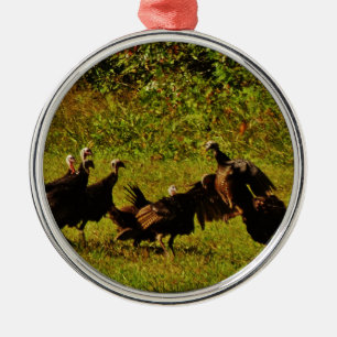 Ornamento De Metal Combater os Perus Selvagens nas Montanhas do Enfum