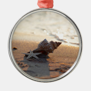 Ornamento De Metal Concha ao mar