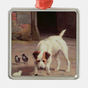 Ornamento De Metal Confrontação