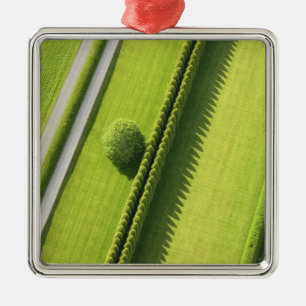 Ornamento De Metal Conversão no Hamptons