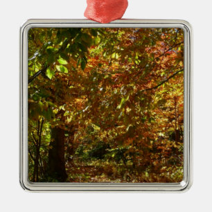 Ornamento De Metal Cópias de Folhas de outono Fotografia de outono A