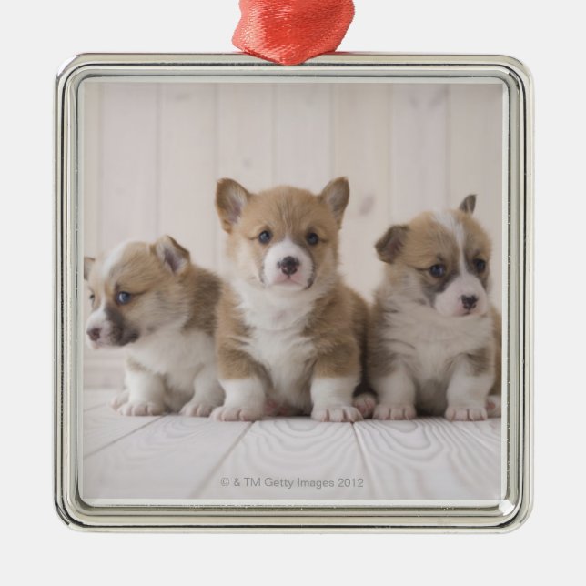 Ornamento De Metal Corgi de três Galês (Frente)