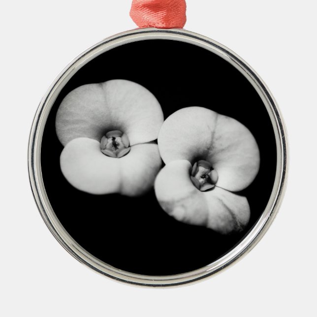 Ornamento De Metal coroa de espinhos (Frente)