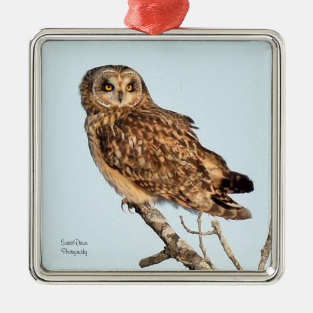 Ornamento De Metal Coruja de Olho Curto (Frente)